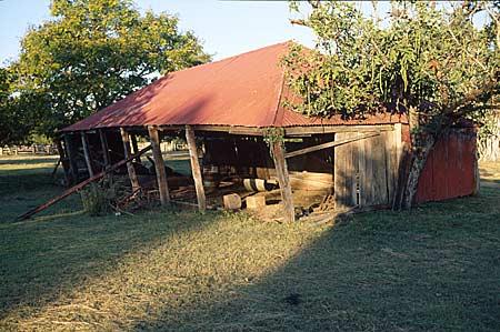 slab walled shed with leaning posts