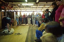 Blade shearing demonstration