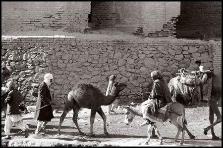 The citadel Bala-Hissar, Kabul