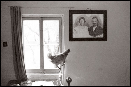 Cottage interior, Benitses, Corfu