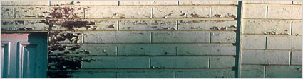 Old shop at Inverell, NSW, with walls of rusticated pine boards.