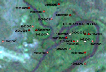 Movement patterns for Harriet, May-June 2003 [EPA website]