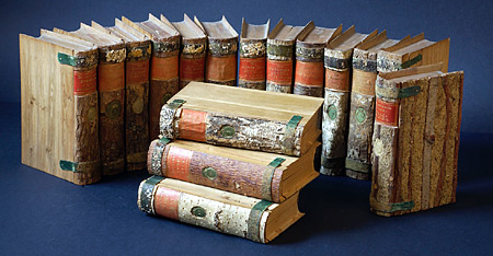 Books from the wooden library [image from the university website]
